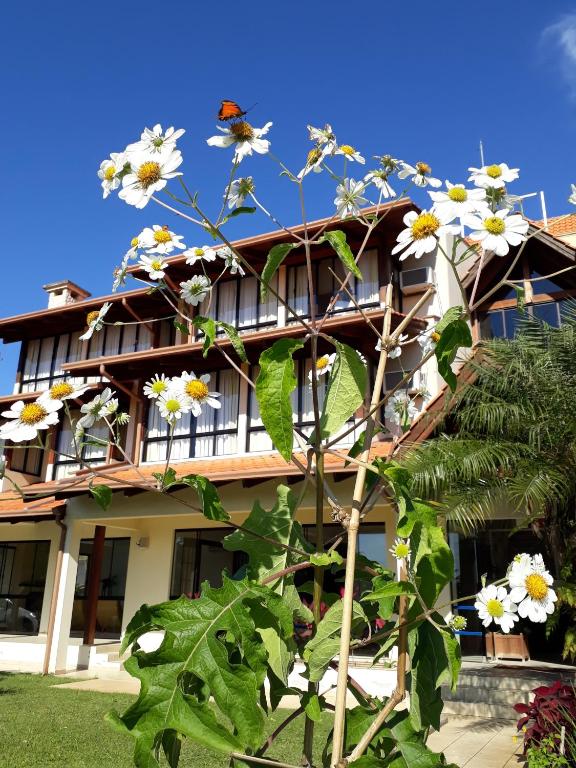 Ilha da Galé Tourist Hotel Fazenda de Bombas room 2